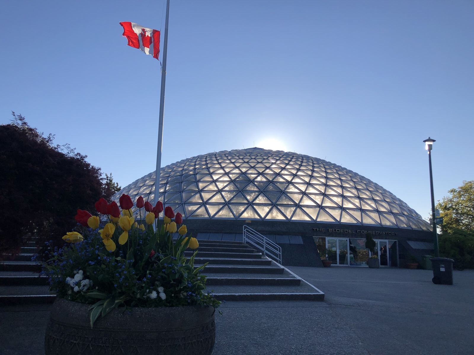 Queen Elizabeth Park, Vancouver, Canada - My, The park, Queen Elizabeth, Vancouver, Canada, Beautiful, The photo, Nature, sights, Longpost