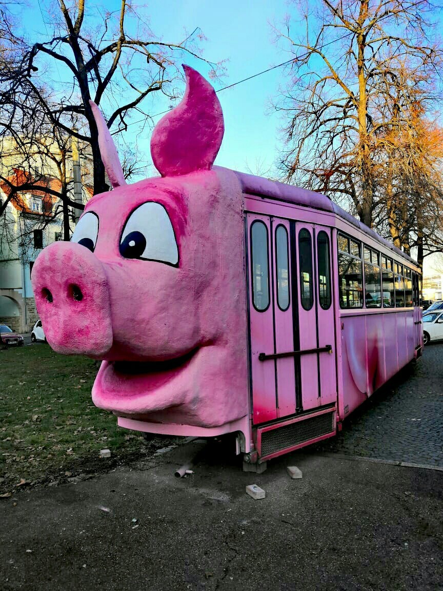 Mood Tram - My, Tram, Germany, Stuttgart, Pig, Museum