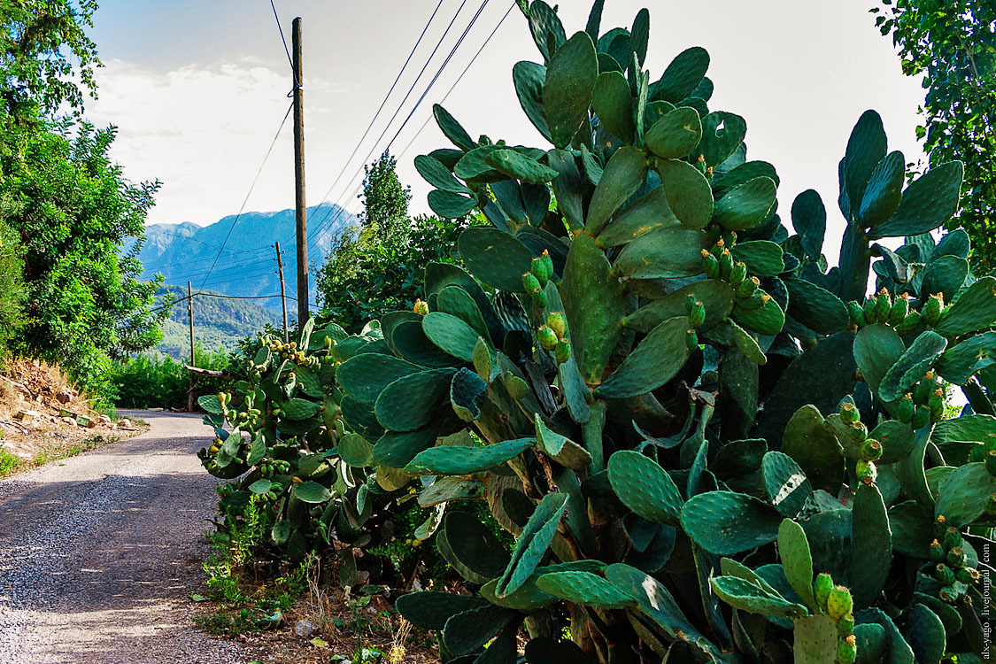 Elven path. - My, Travels, The photo, Tourism, Wild tourism, Hiking, The mountains, Longpost