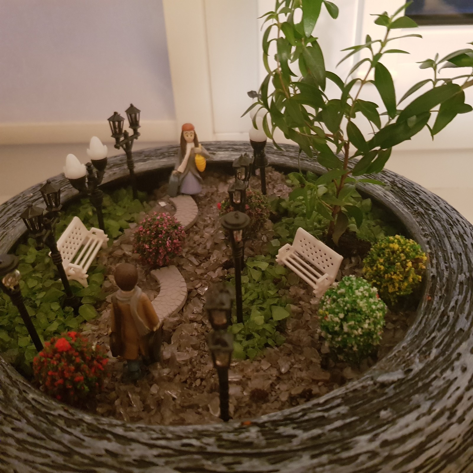 My little hobby - My, Garden, Flowers, Miniature, Hobby, Longpost