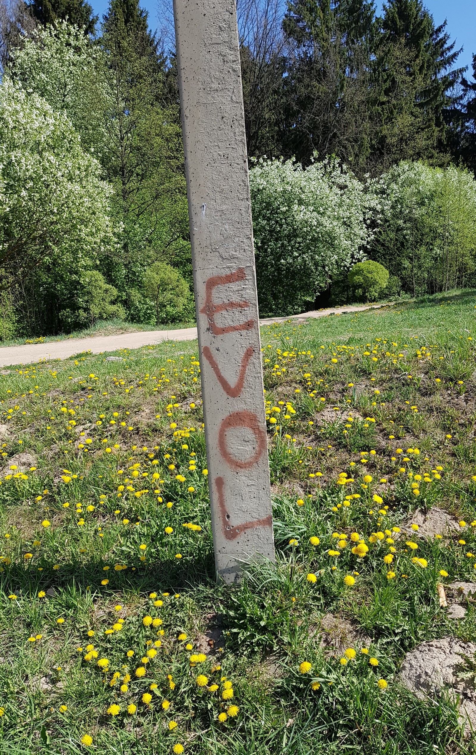 Love is EVOL - Love, Evil, The photo