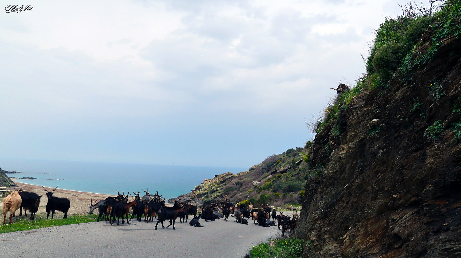 The beauties of southwestern Evia - My, Greece, Evia, Island, Nature, Video, Longpost