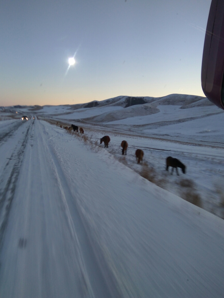 Under-circumnavigation. Chapter 2. Mongolia. - My, Trip around the world, Mongolia, Travels, Longpost