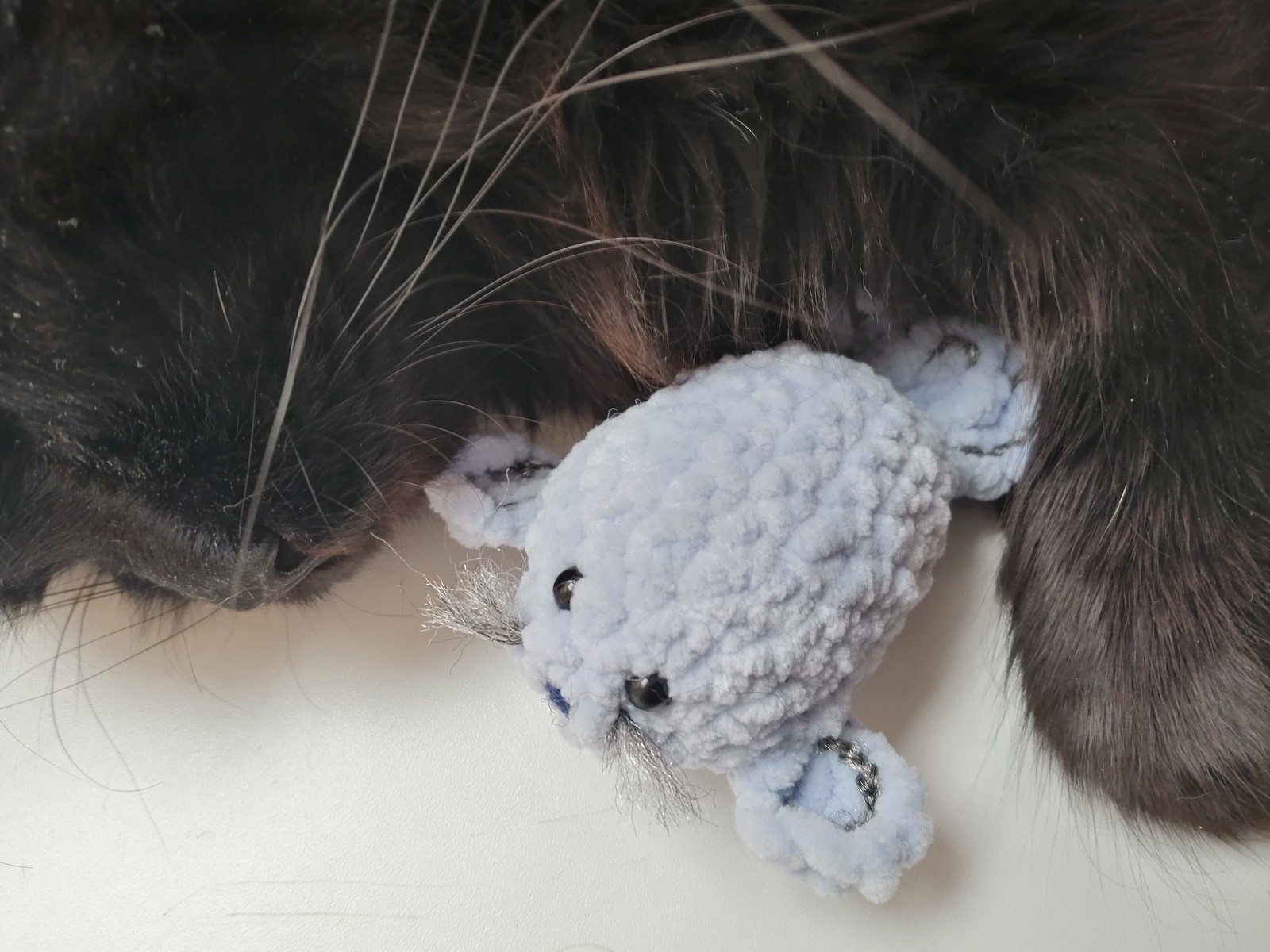 Seal and cat-lamp - Crochet, Seal, I share, Sparrow kisa, Maine Coon, Longpost