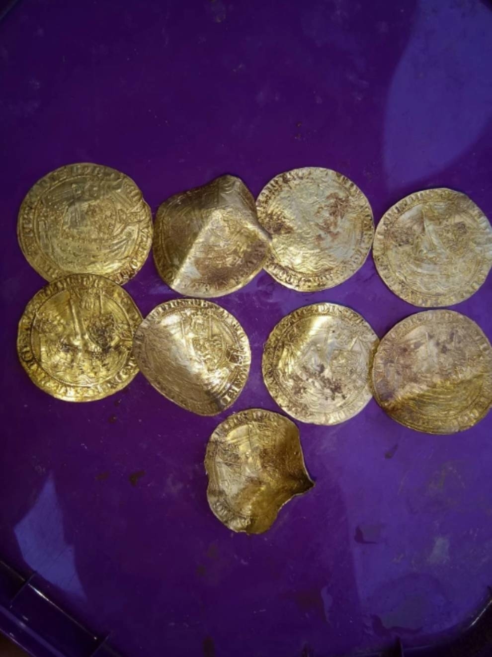 At the festival for treasure hunters, searchers found 557 old coins - Gold, Silver, Search, Treasure, Treasure hunter, Metal detector, Find, Longpost, Treasure hunt