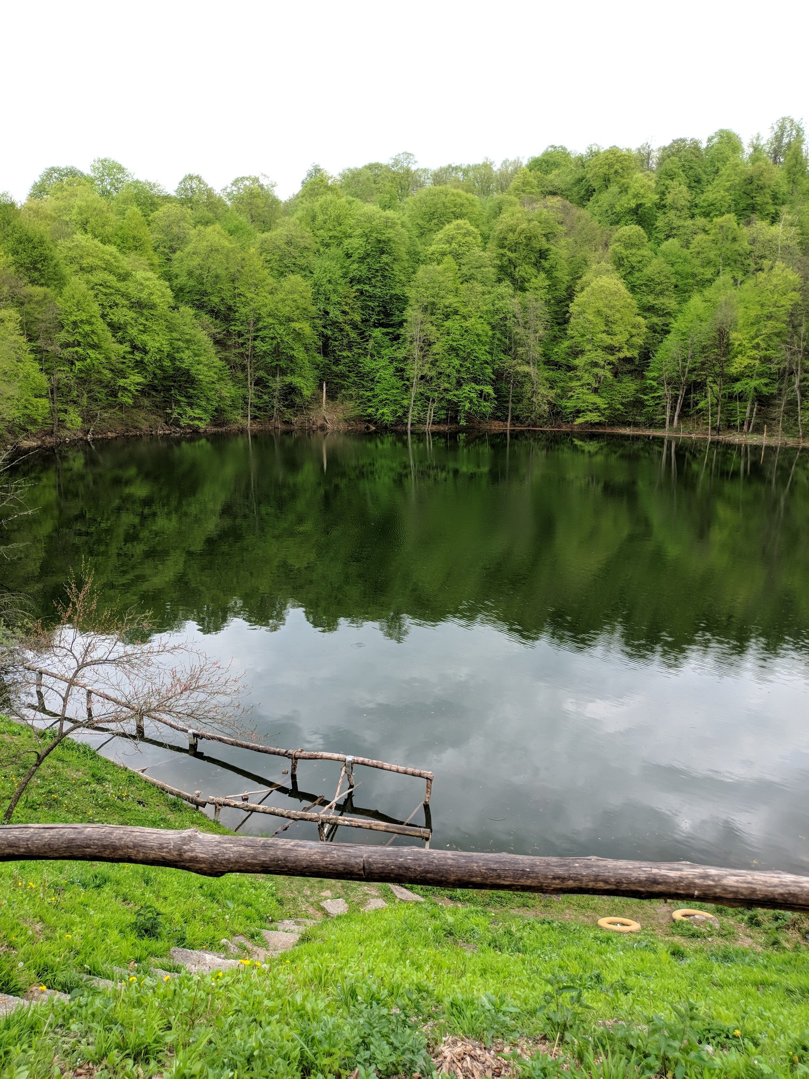 Lake Master - My, Longpost, cat, Catomafia, Nature, beauty of nature