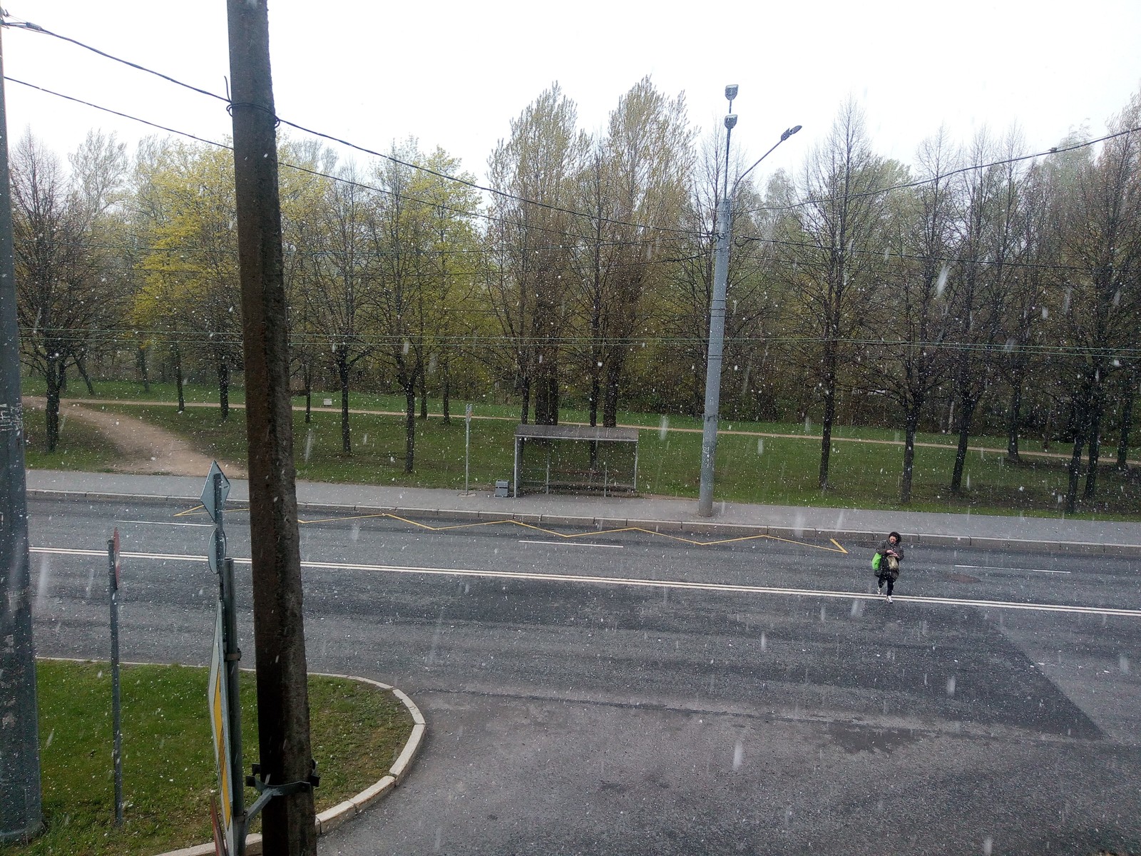 169 day of winter St. Petersburg) - My, Spring, May, Snowfall