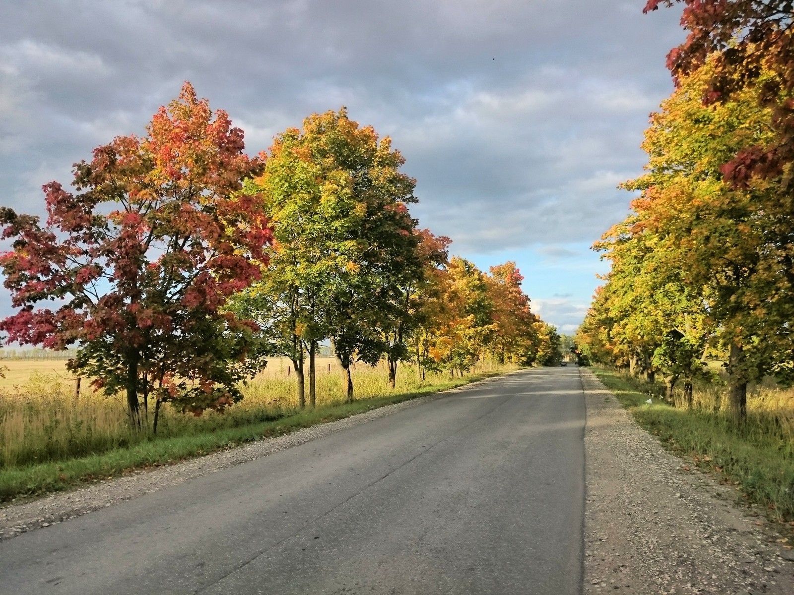 Autumn colors - My, The photo, Autumn