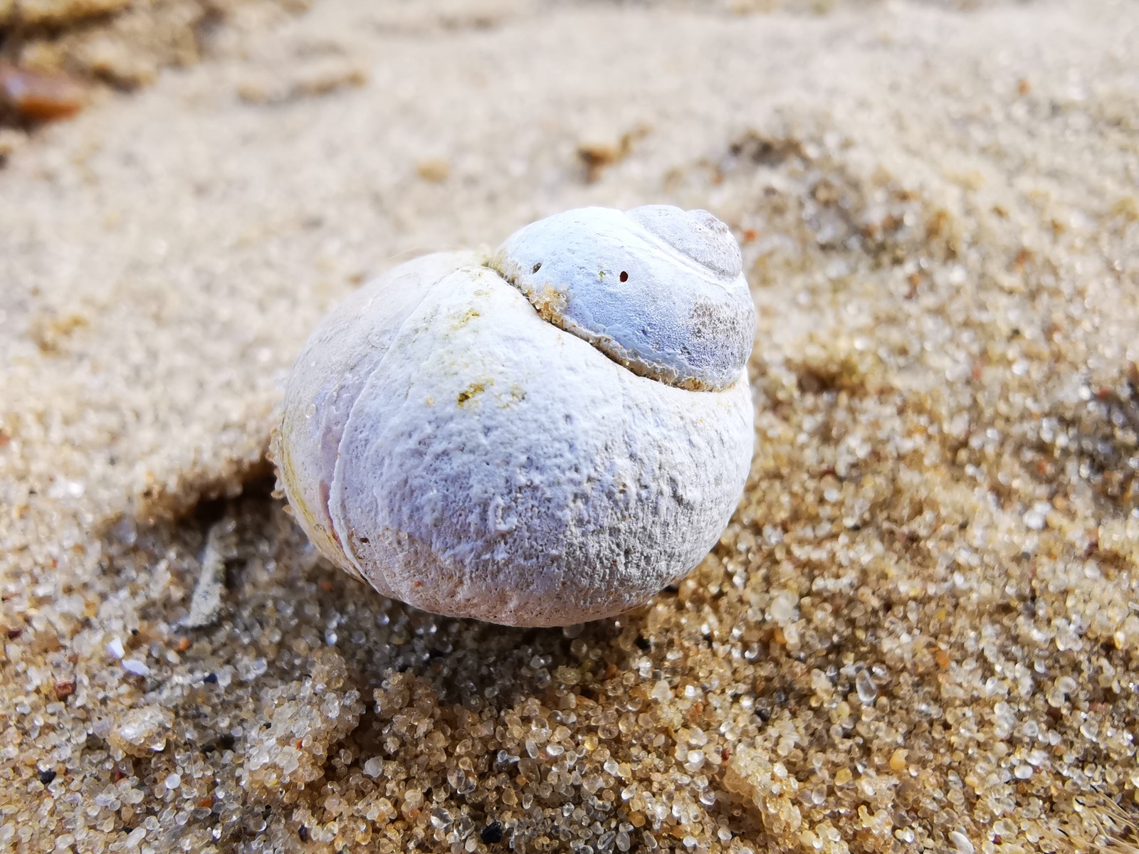 Beach - My, Mobile photography, Beach, A bike, Huawei mate 20, Sand, Video, Longpost