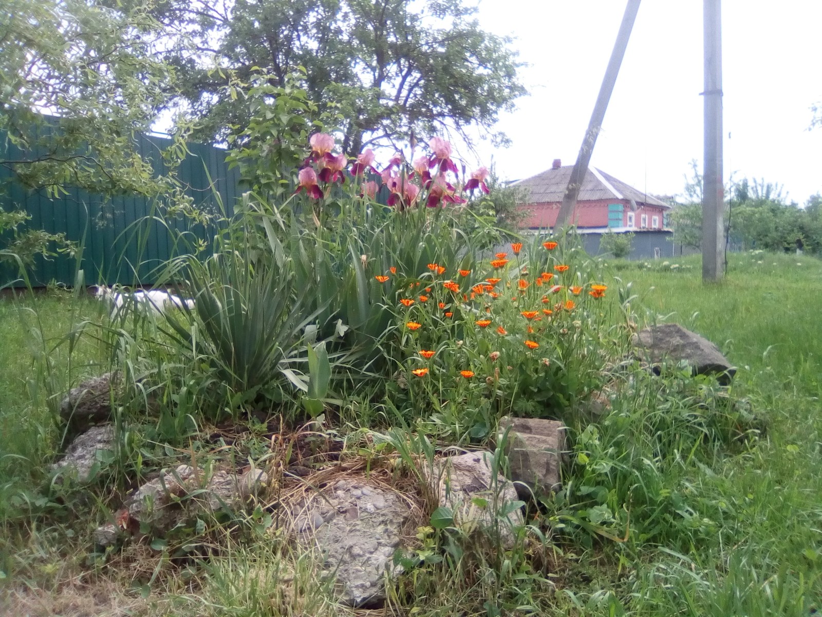 Just a flower bed - My, Flower bed, Landscape design, Greenery, Spring