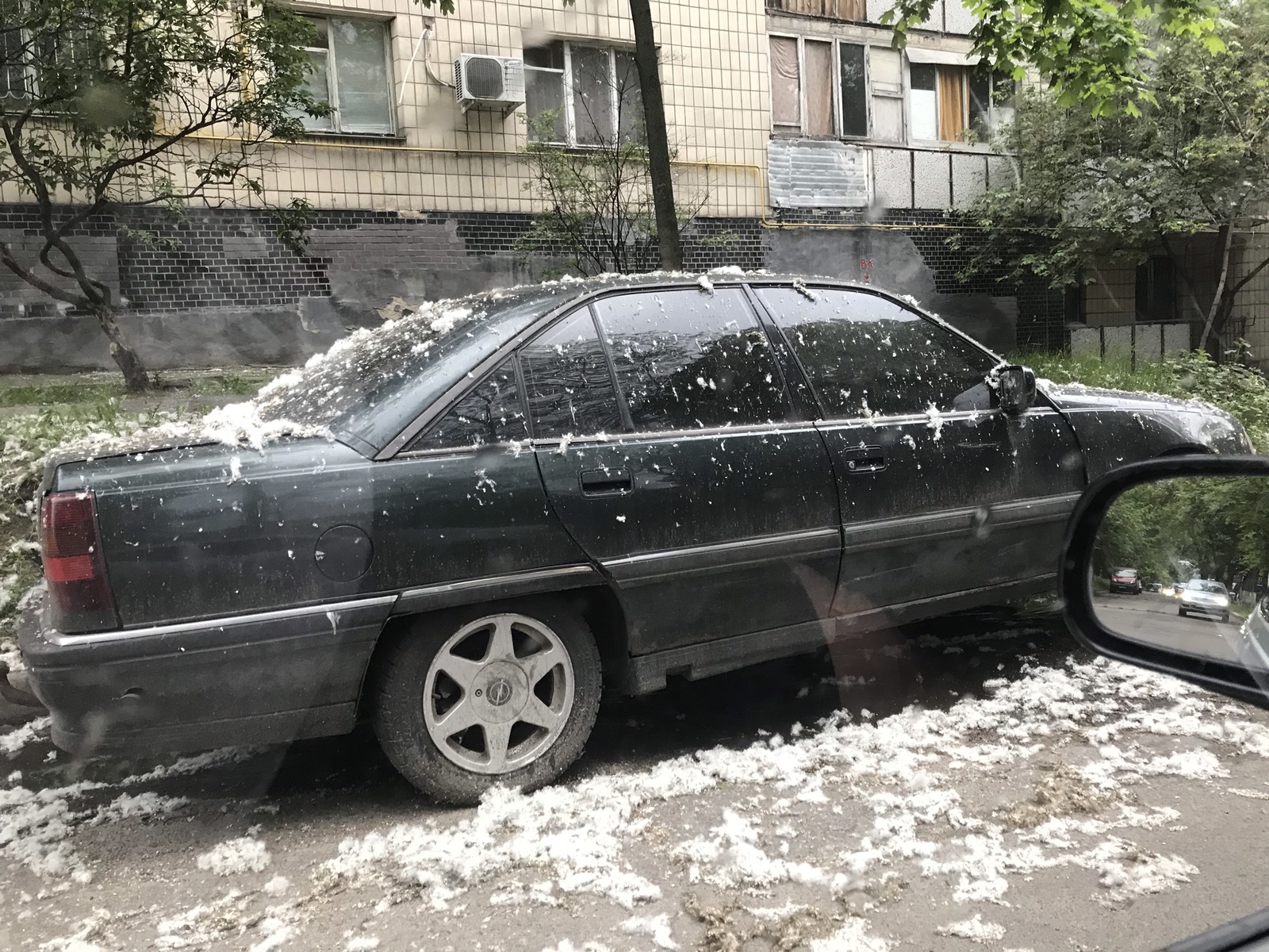 Вот почему не стоит оставлять машину под тополем | Пикабу