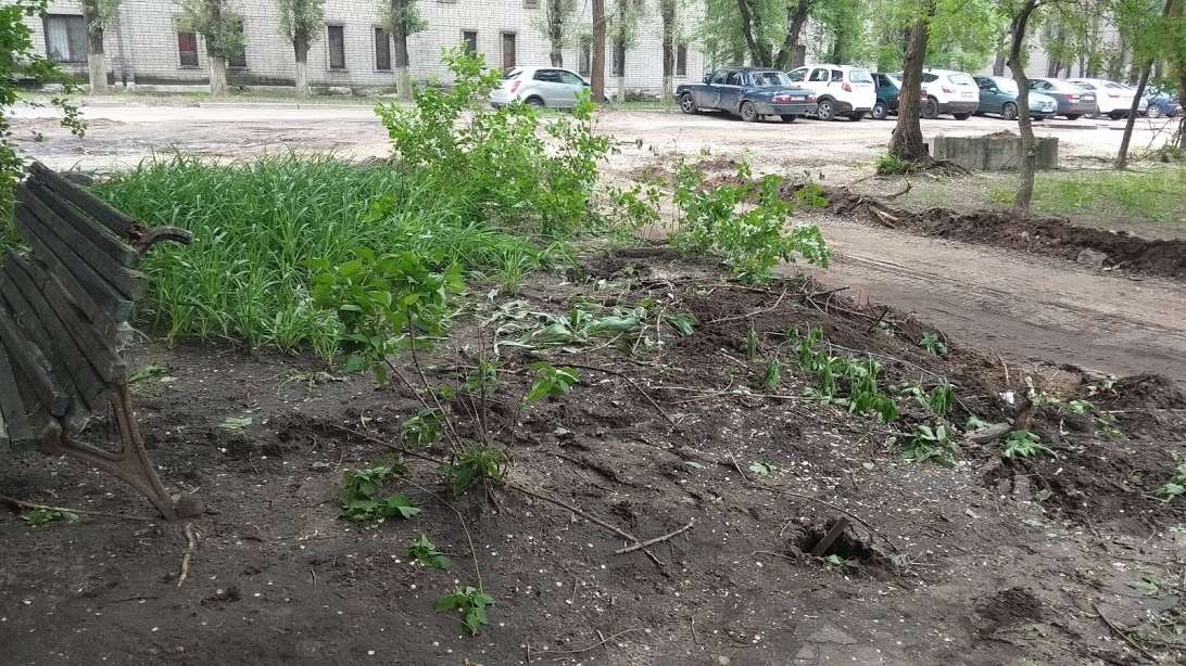 Выкорчевали здоровые деревья во дворе - Моё, Дерево, Беспредел, Воронеж, Длиннопост