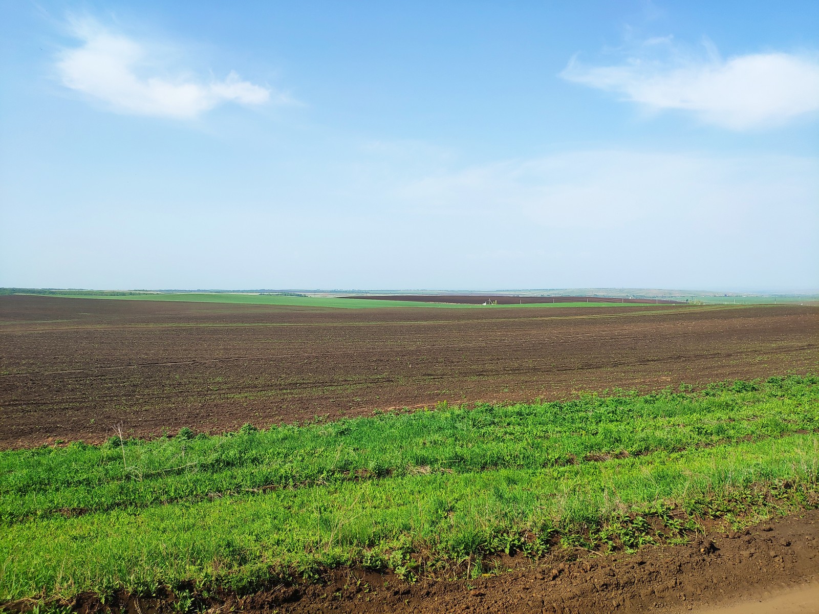 Field - My, beauty, Orenburg region