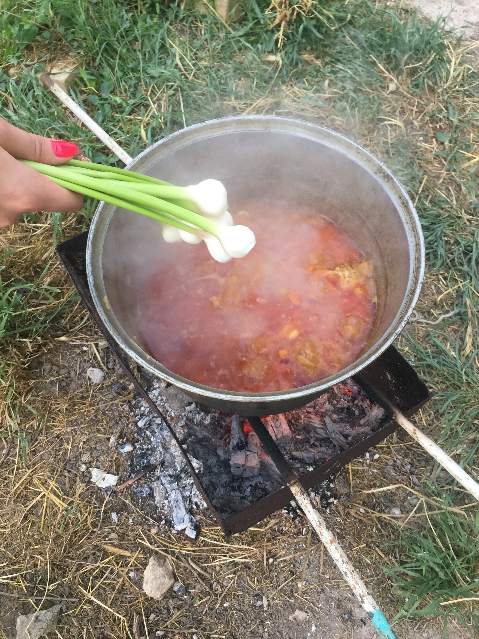 How I made pilaf on a fire, for the first time! - My, Pilaf, Dish, Longpost, Cooking