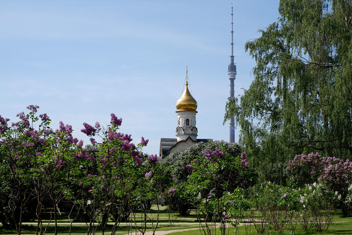 Morning in Ostankino - My, The photo, Spring, Ostankino, VDNKh, Fountain, Landscape, Cityscapes, Longpost, Street photography