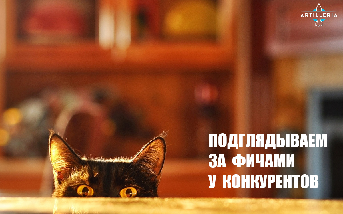 If cats worked in the agency - My, , cat, Catomafia, Agency, Advertising agency, Longpost