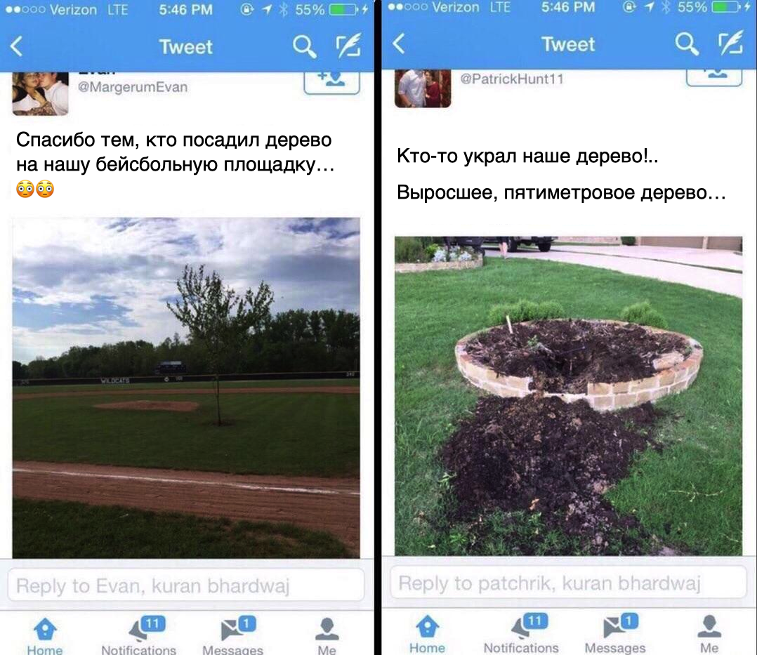 Someone played two at once - Twitter, Tree, Drawing, Theft, Prank, Dug, Screenshot, Translated by myself