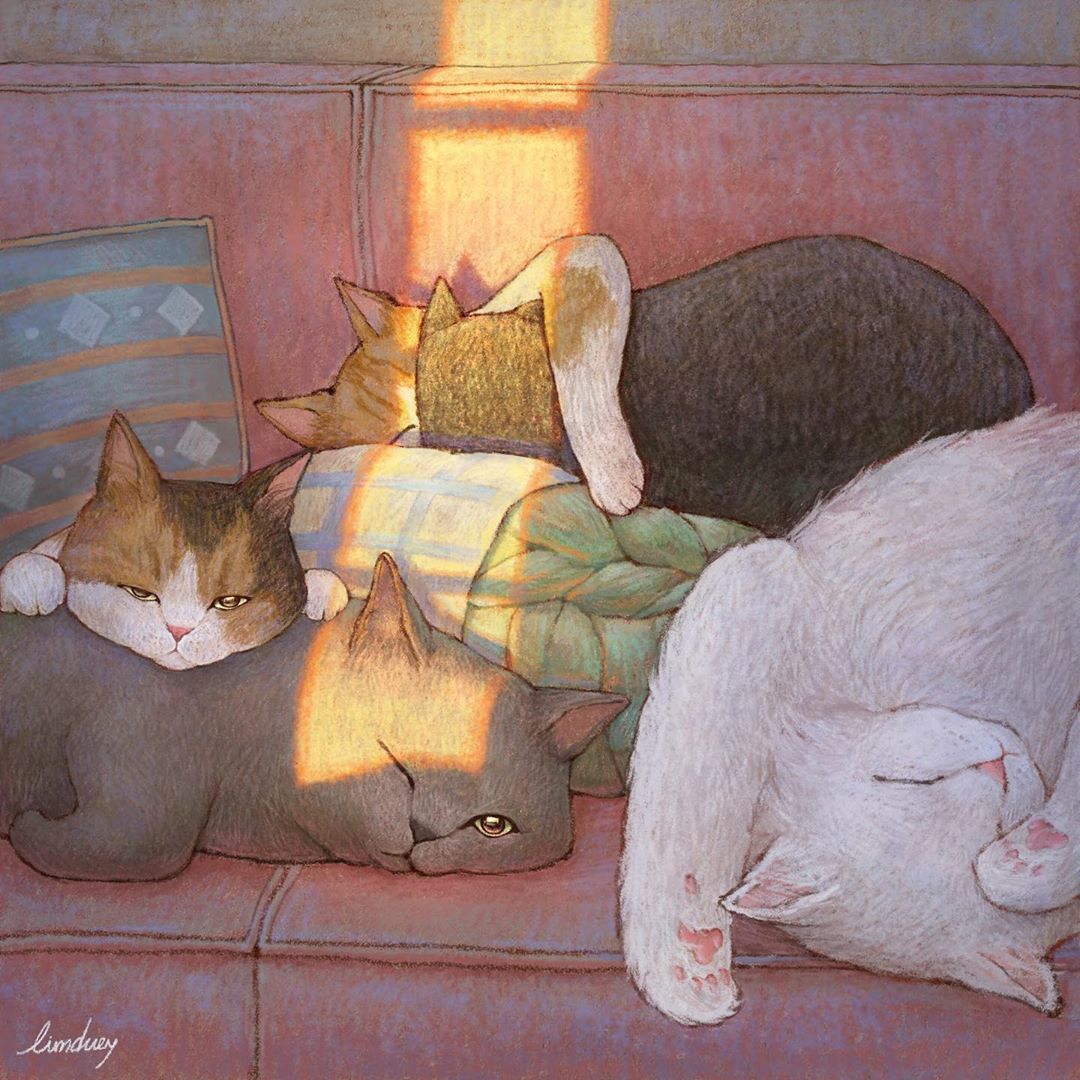 Cozy cat world from Korean artist Limduey - cat, Artist, Limduey, Art, Longpost