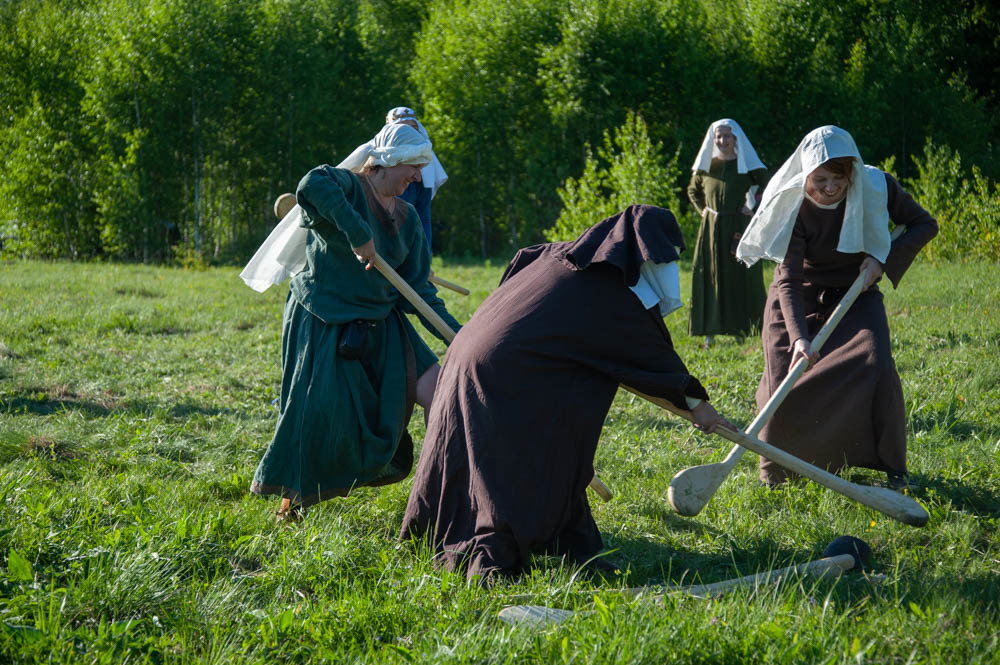 Maypole Festival 2019 - My, 13th century, The festival, Middle Ages, Knight, Field hockey, Longpost