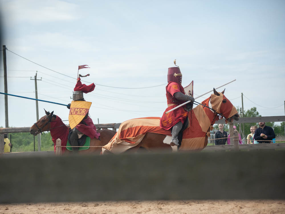 Maypole Festival 2019 - My, 13th century, The festival, Middle Ages, Knight, Field hockey, Longpost