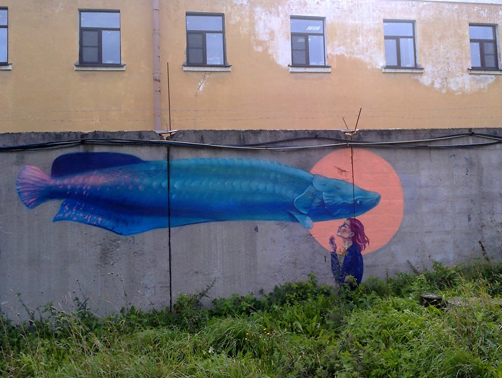 Graffiti (as well as street art) should decorate the walls, not deform them #98 - Street painting, Graffiti, Street art, Saint Petersburg, A fish