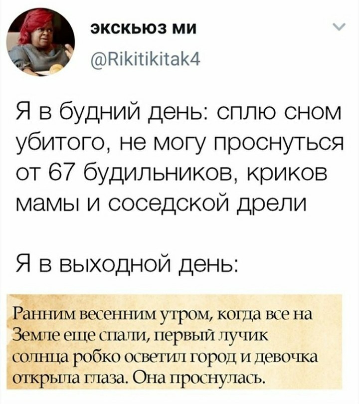 Жиза - Twitter, Юмор, Пикабу