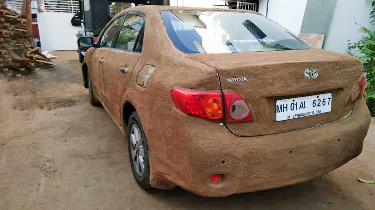 And how do you escape from the heat in the car? - Summer, India, Auto, Toyota, Manure