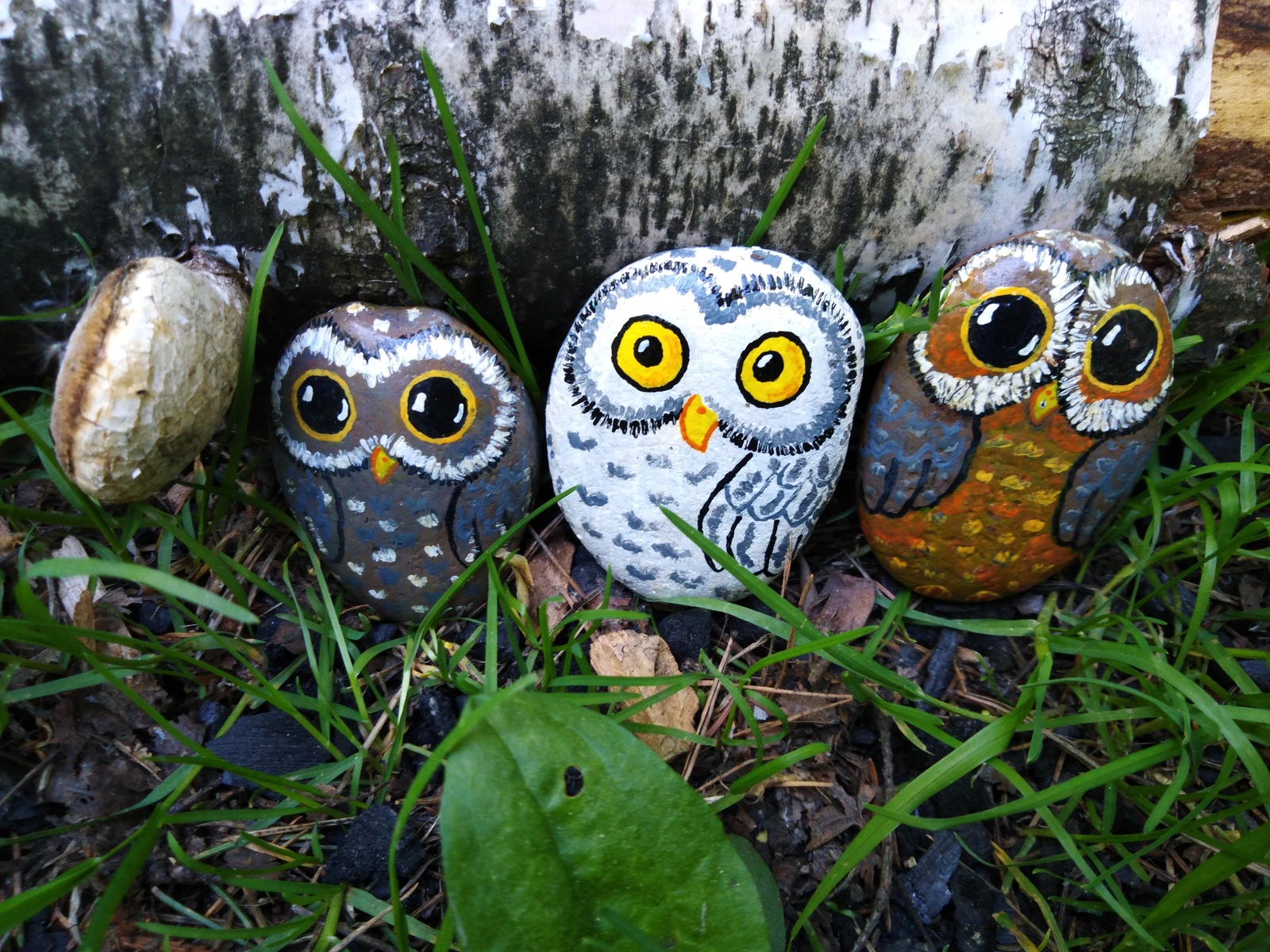 The Big Owl family is looking for a home! - My, Owl, Is free, Freebie, For free, Handmade, Creation