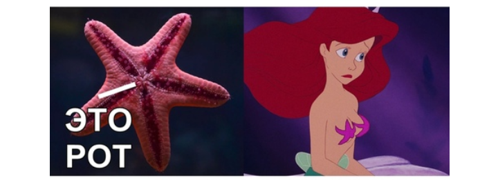 Haunting - Picture with text, Starfish, the little Mermaid, From the network