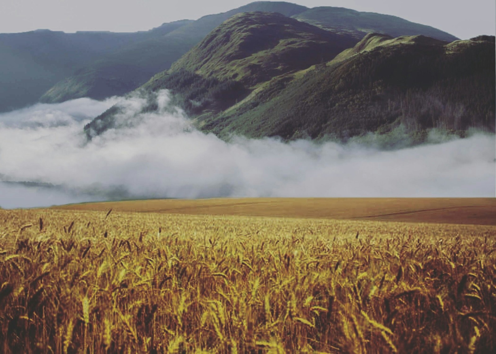 Try to guess where it is - My, The mountains, Field, The photo, guess