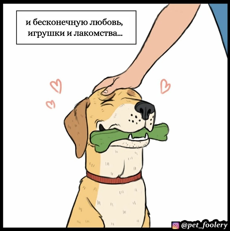 Dog logic - Pet foolery, Dog, Comics, Longpost