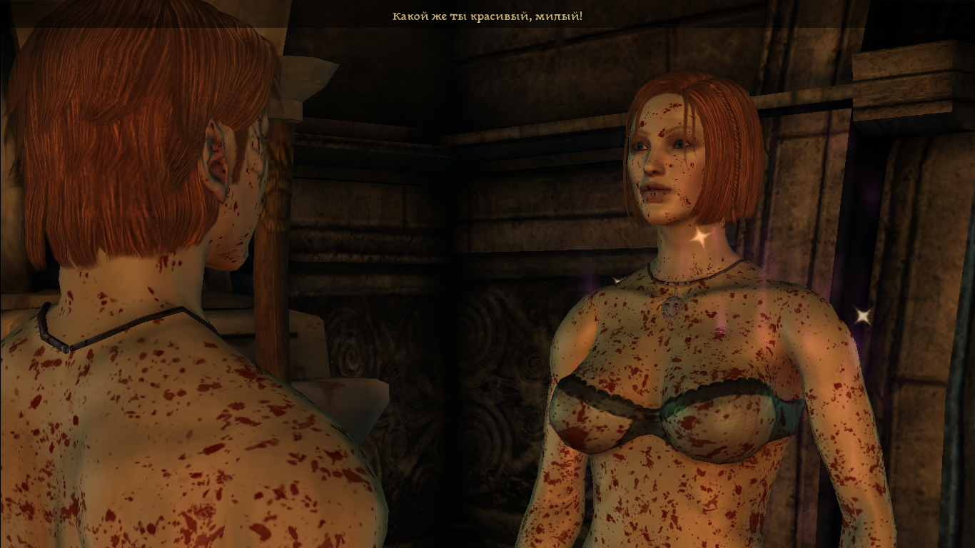 This is why I love Dragon Age Origins - Screenshot, Dragon age, Leliana, Games