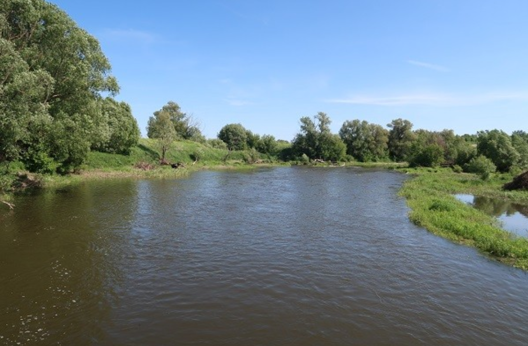 nettle and nettle - My, , Travel across Russia, Nettle, River, The festival, Walk, Beautiful, Longpost