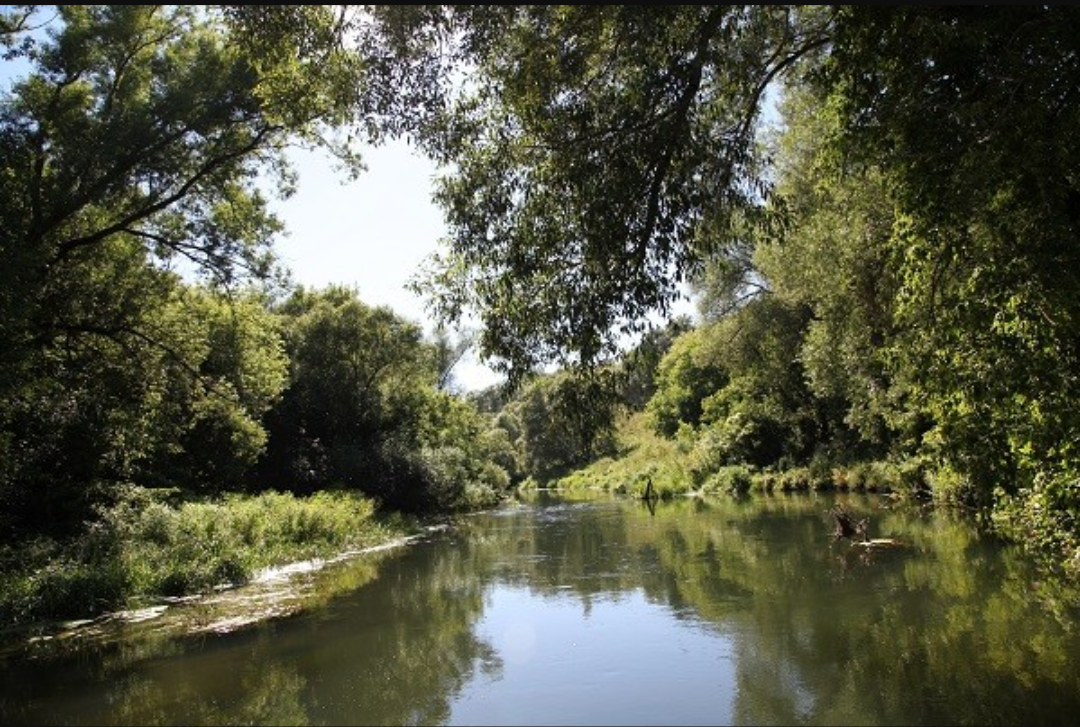 nettle and nettle - My, , Travel across Russia, Nettle, River, The festival, Walk, Beautiful, Longpost