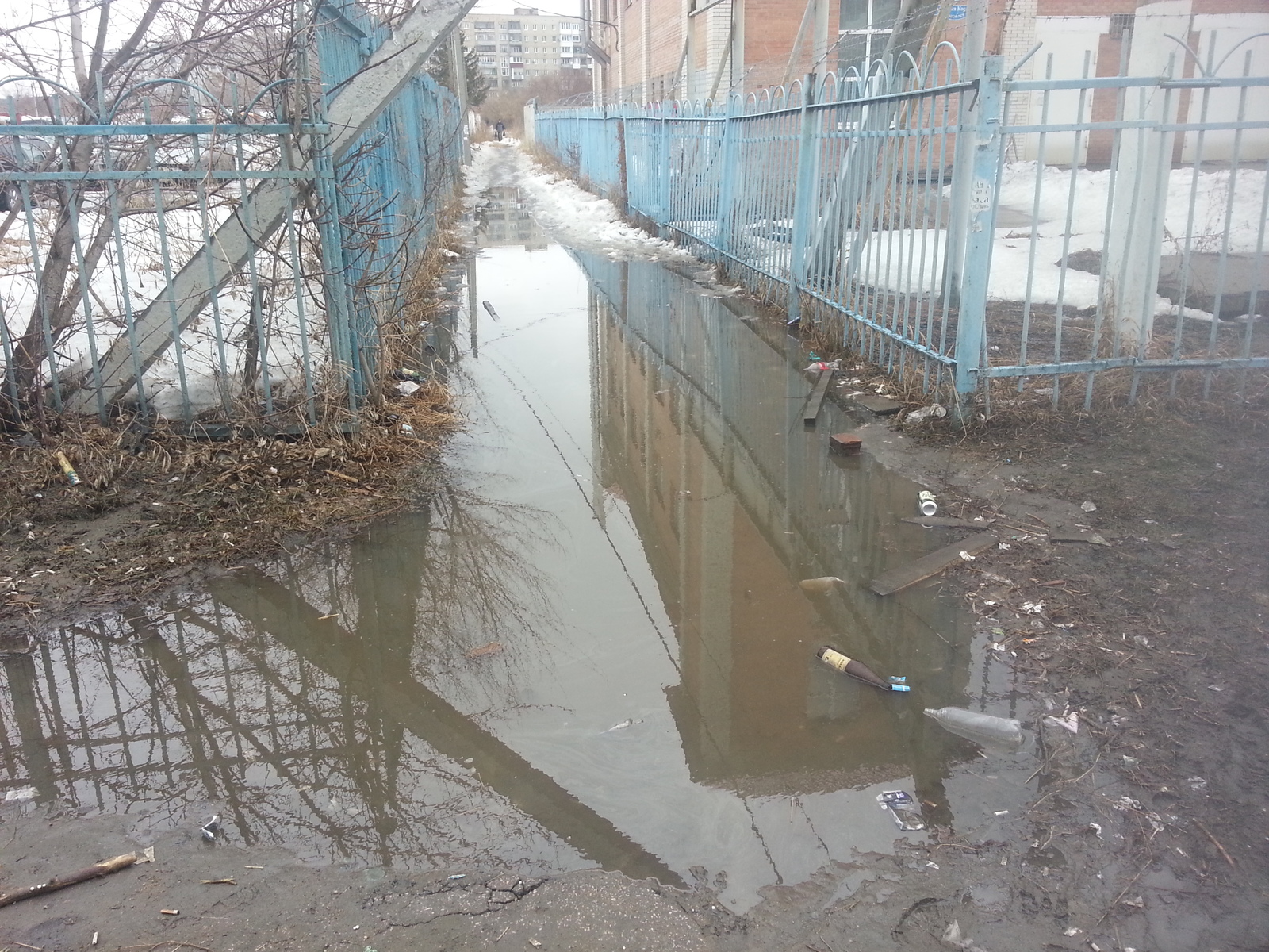 Omsk swamp - an obstacle course for a while! - My, Omsk, Don't try to leave Omsk, , Administration, Longpost