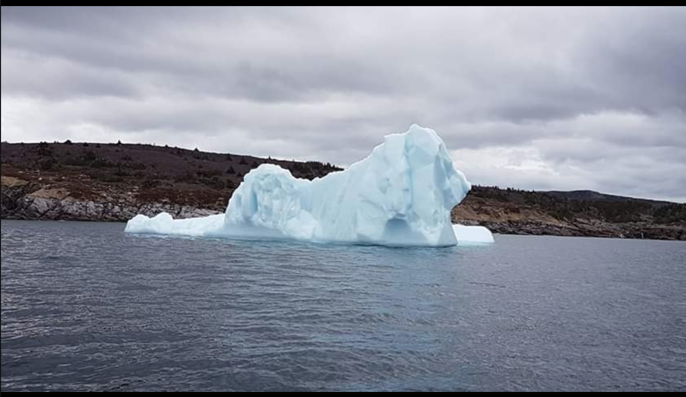 Imagination on. - Iceberg, Sea, The photo, a lion, Pareidolia