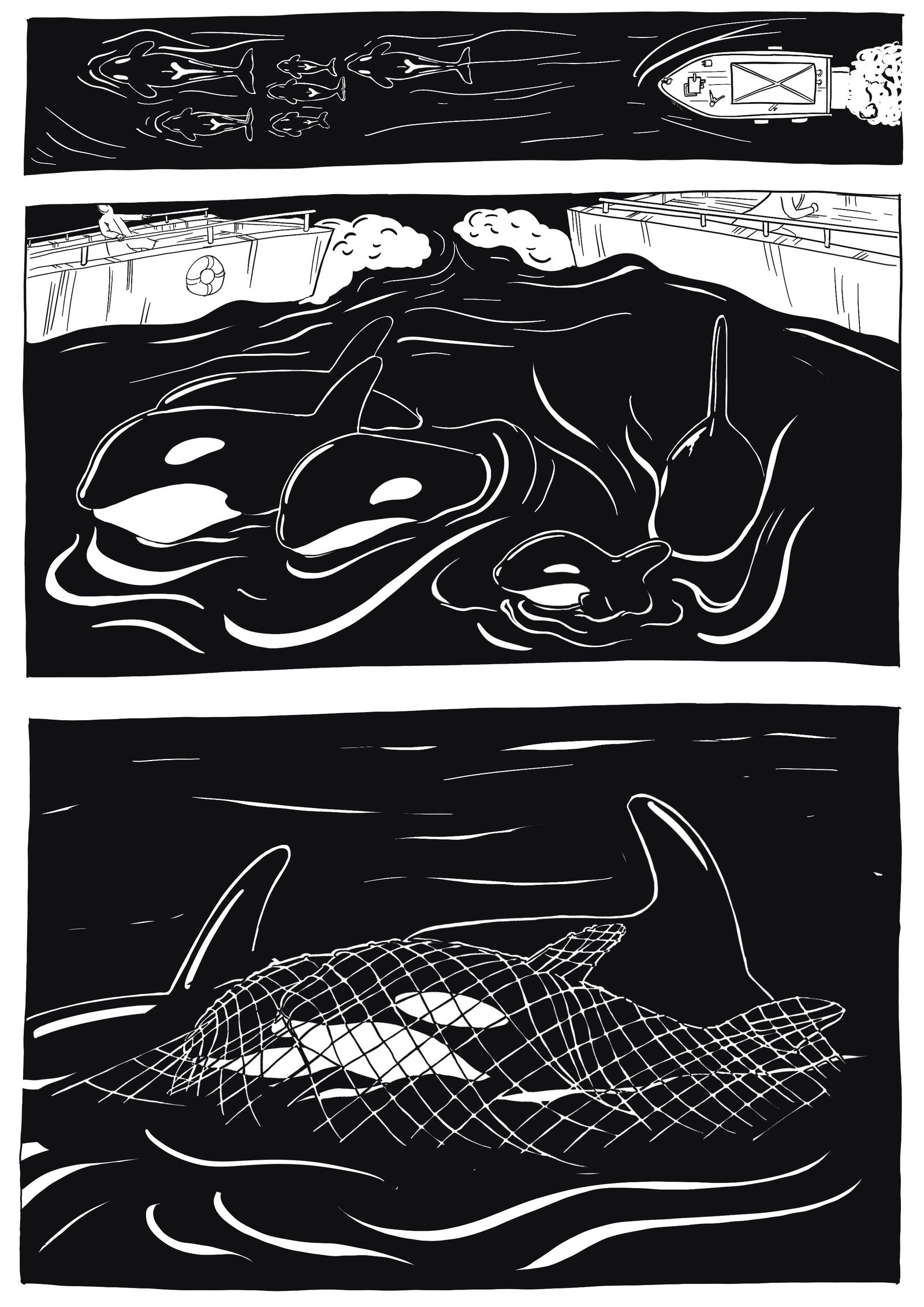Comic for Dolphin Project - My, Killer whale, Comics, Whale Prison, Longpost