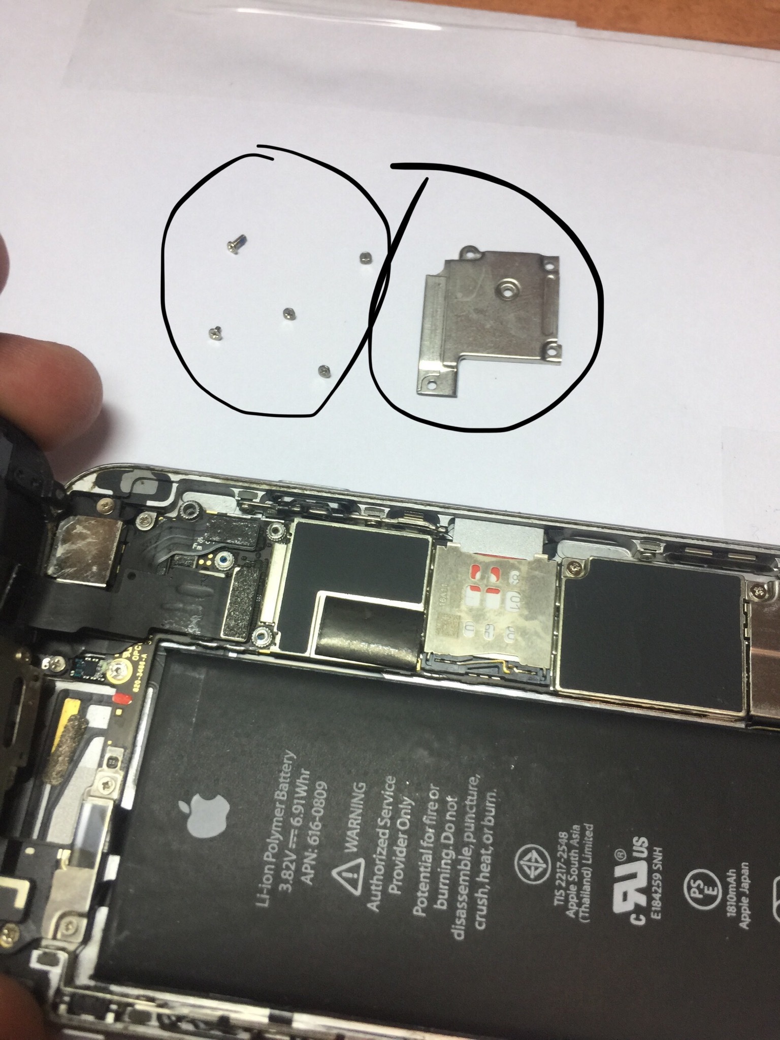 Ремонт iPhone в Москве - цена на ремонт Айфонов в сервисном центре Doctor Smart