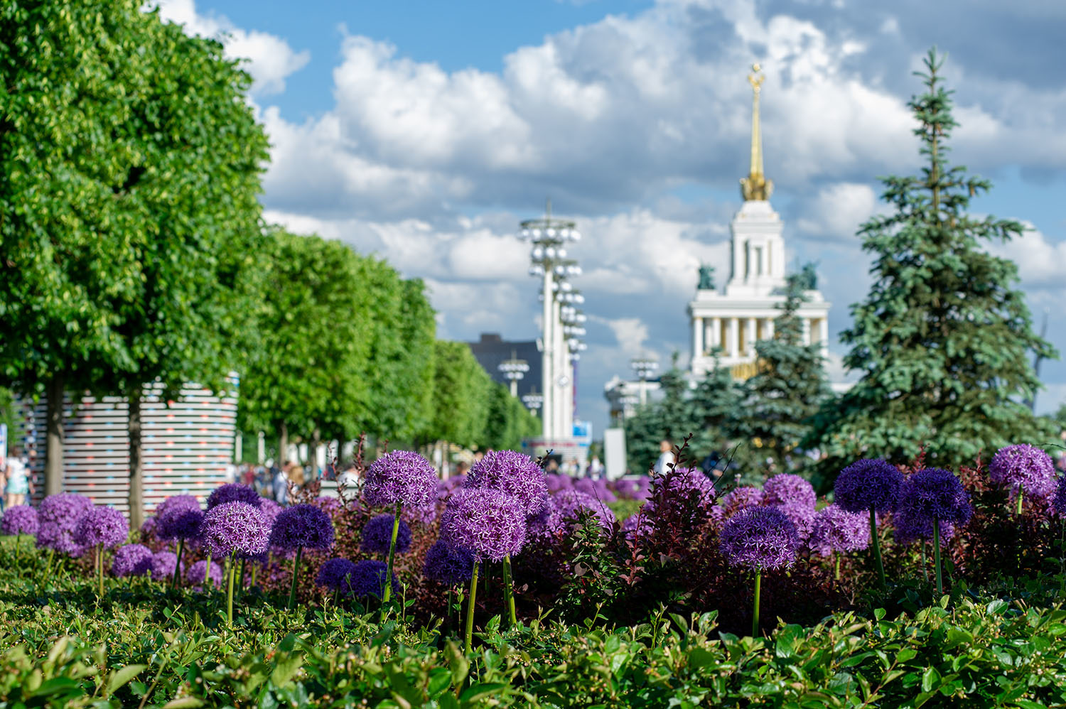 Several postcards from VDNH - My, The photo, VDNKh, Moscow, Holidays, Nikon, Longpost