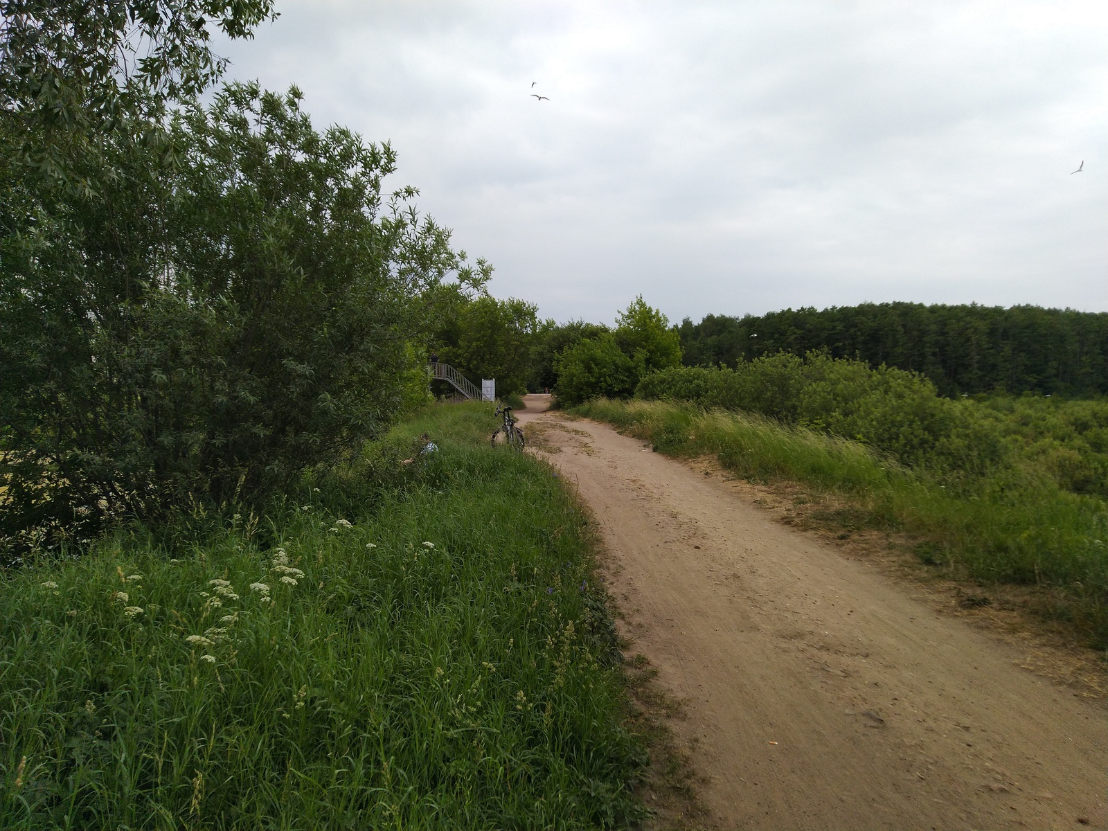 Bicycle route from Sokolniki to Korolev - My, Elk Island, Bike ride, Video, Longpost