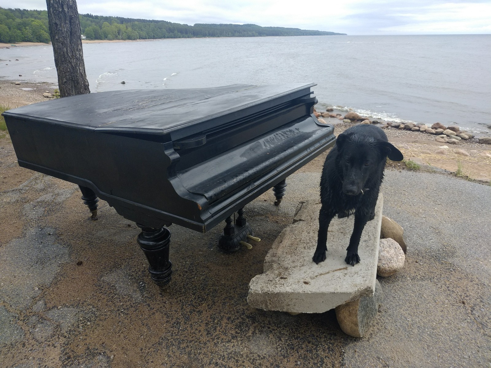 Beach Concert. - My, Musical instruments, Piano, The Gulf of Finland, Question, Leningrad region, Find, Video, Longpost