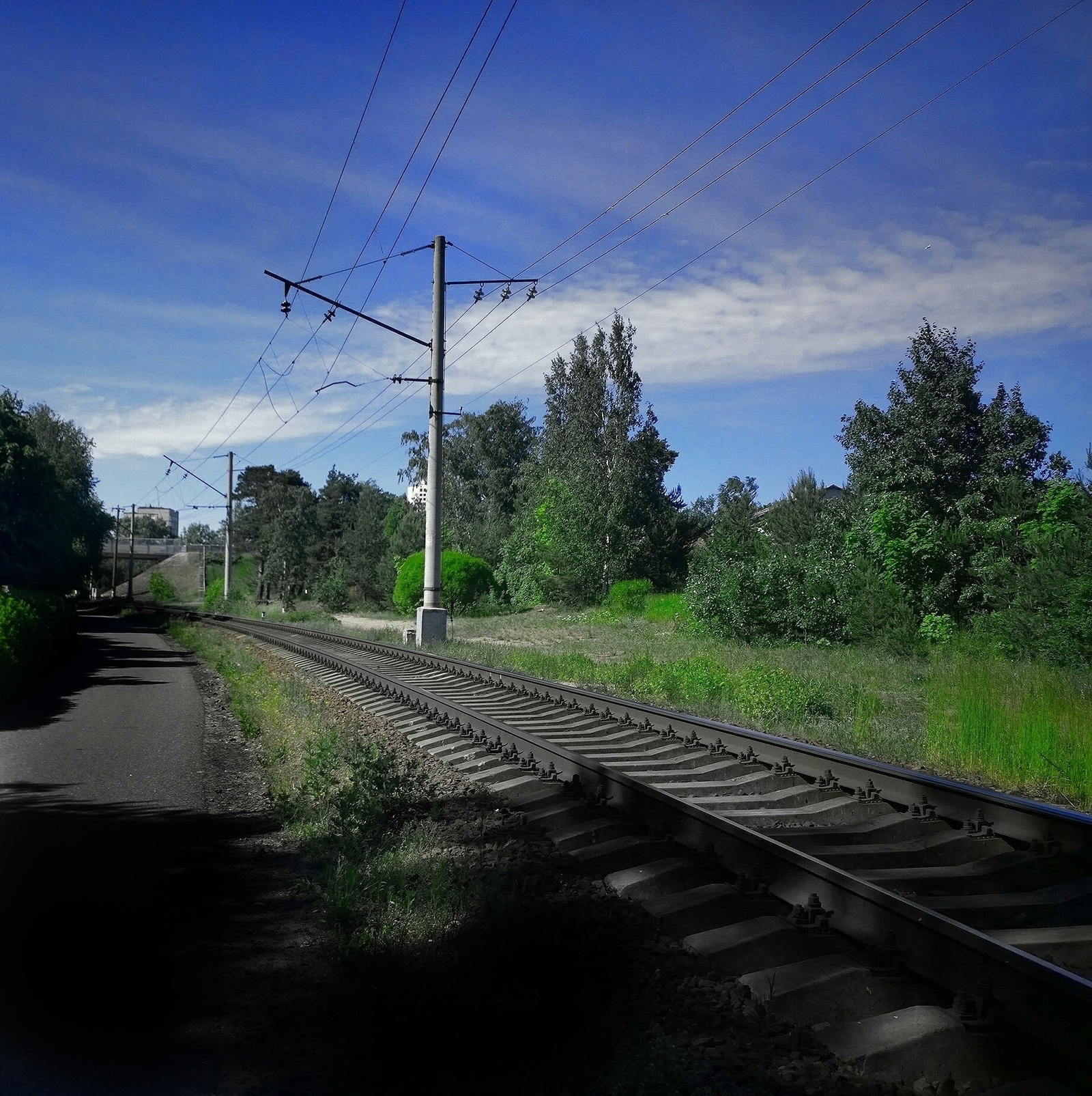 Neighborhood. - My, Walk, Surroundings, Kurortny district, The photo, Summer, Longpost