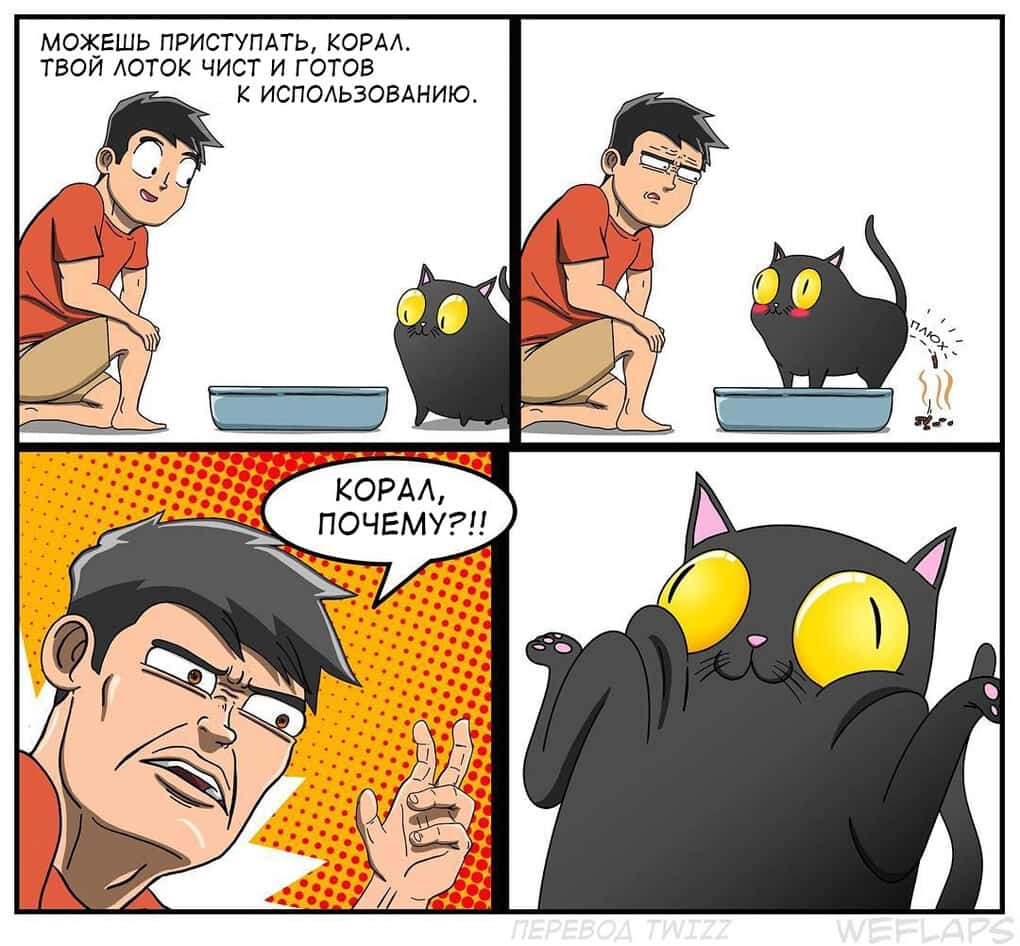 19 comics that demonstrate that life with a cat is a separate profession - cat, Comics, Longpost