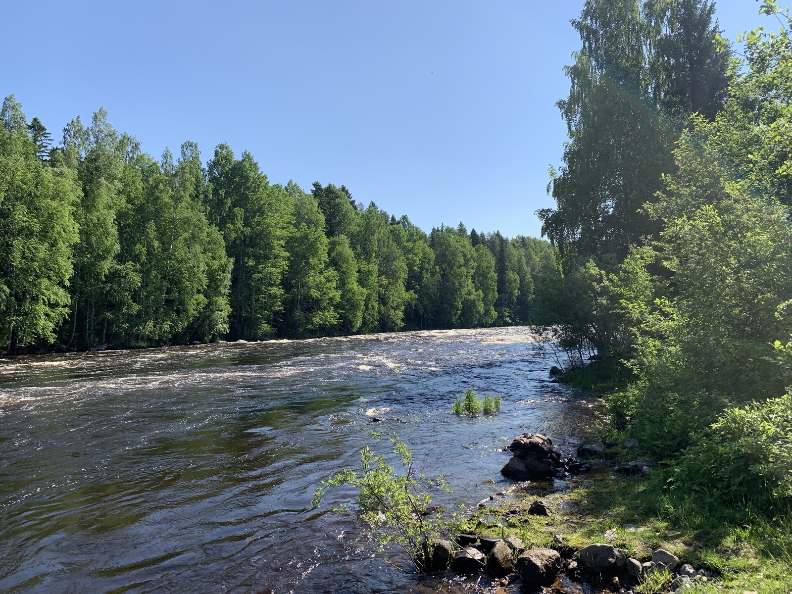 The first time I went rafting - My, Hike, Alloy, Rafting, Kayaking, Longpost