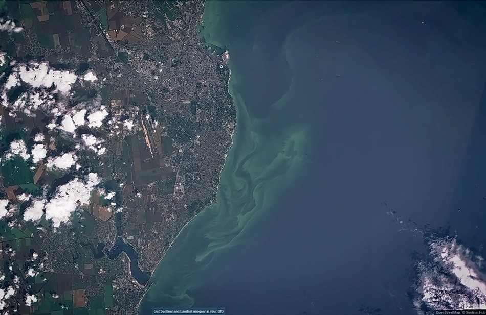 Green sea in Odessa - Sea, Odessa, Dirt, Longpost