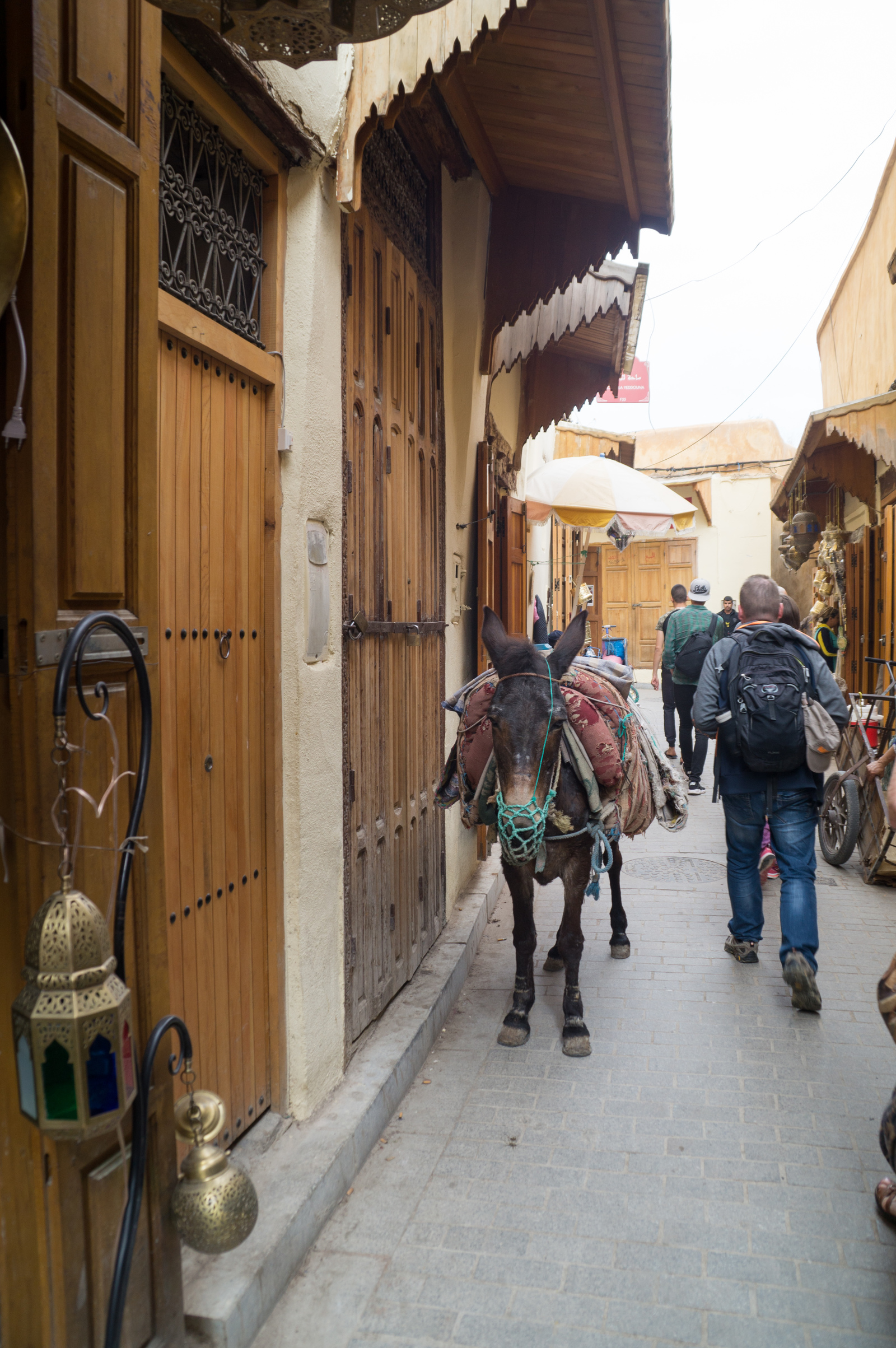 Travel in Morocco. - My, Morocco, Travels, The photo, Longpost, Bazaar