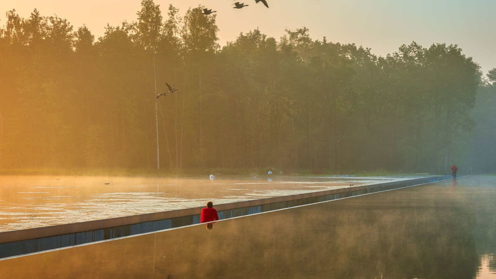 Cutting through the surface - Bike path, Lake, Limburg, Belgium, Video, Longpost