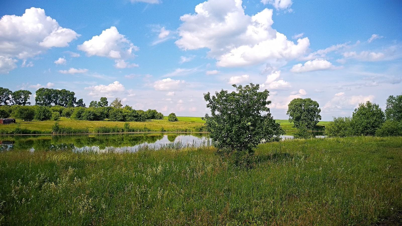 Chuvashia. - My, Photo on sneaker, Summer, Chuvashia, Lake, Longpost