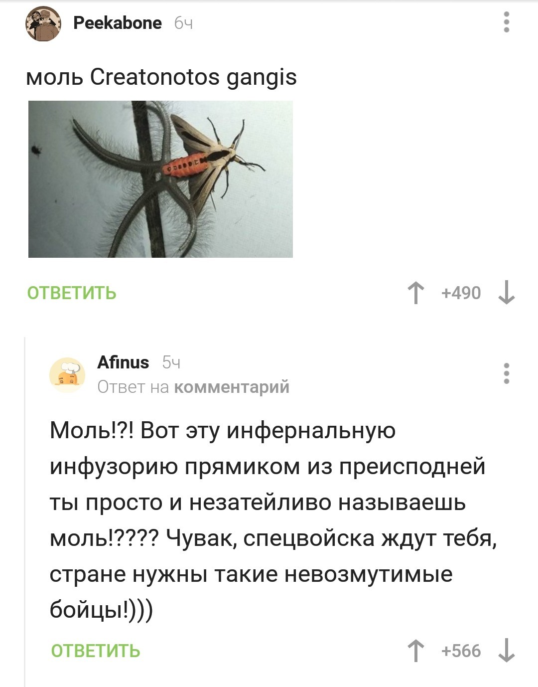 Moth - Comments, Comments on Peekaboo, Screenshot, Moth, Monster, Longpost