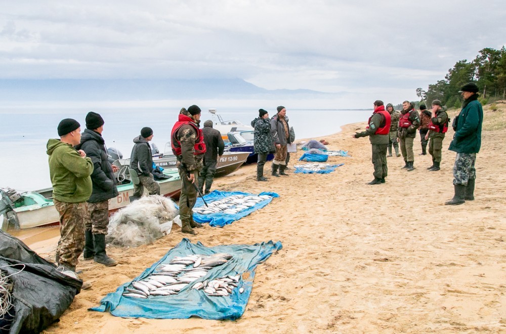 How can you lose your homeland - Baikal, State Inspector, Homeland, Artur Murzakhanov, Longpost, Poachers